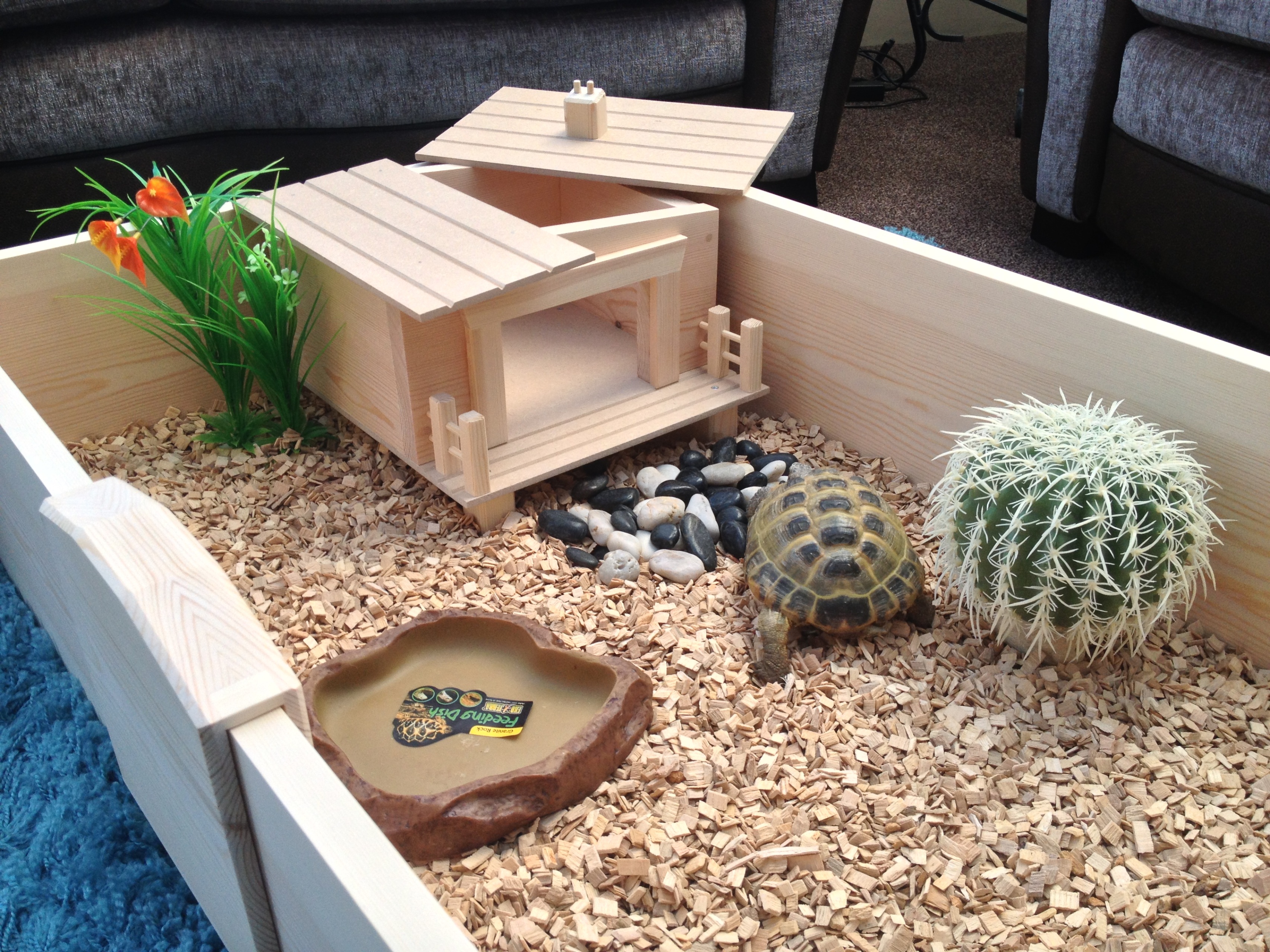 tortoise house pets at home